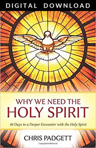 Why We Need The Holy Spirit - Digital Download